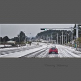 dailyPhoto31